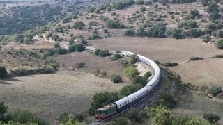 D345 1121 Donnafugata (RG)