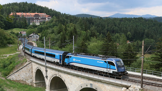 CZ 1216 236 Wolfsbergkogel