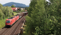 OBB 1116 146 Neuhaus / Gail