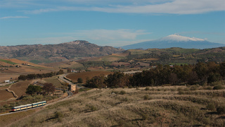 ALn668 1901 e 1936 Scarlata
