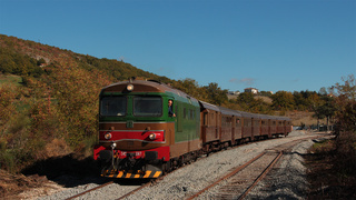D345 1142 Nusco