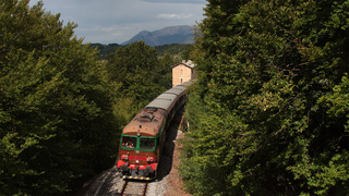 D445 1145 Campo Di Giove