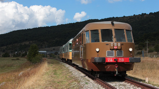 ALn556 2331 e ALn668 1401 e 1452 Palena
