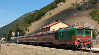 D445 1145 Palena