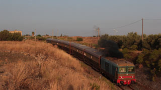D445 1034 Fildidonna (CT)