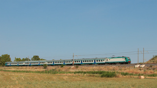 E464 617 Passomartino
