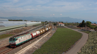 E633 228 Carrubba