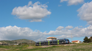 ALe501 054 Aragona