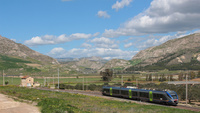 ALe501 029 Comitini