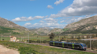 ALe501 029 Comitini