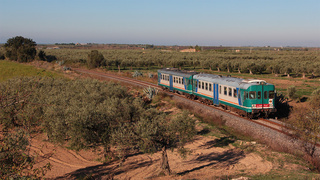 ALn668 3135 e 3170 Campobello Di Mazara