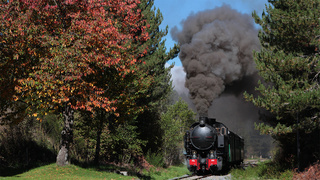 1. FCL353 Croce di Magara