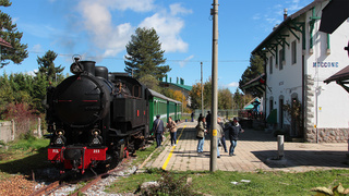 4 FCL 353 Moccone