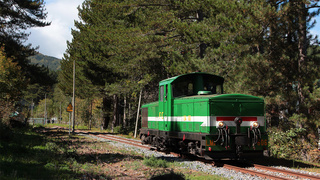FCL LM4 606 Moccone