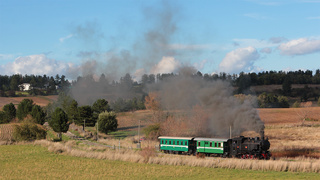 6b FCL 353 Sculca