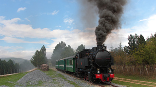 10 FCL 353 Sculca