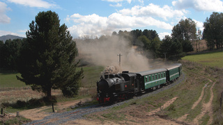 13 FCL 353 Sculca