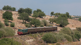 D445 1034 Donnafugata