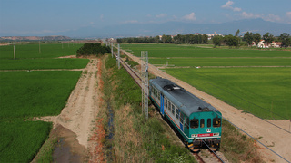 ALn663 1114 Spezzano Albanese