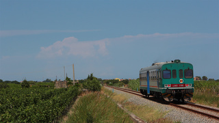 ALn663 1190 Torre Melissa