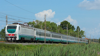 E402 158 Migliarino (PI)