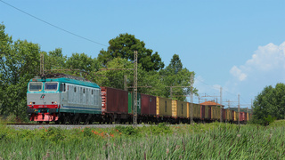E652 154 Migliarino (PI)