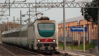 E402 158 Torricola