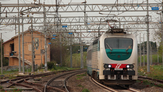 E403 004 Torricola