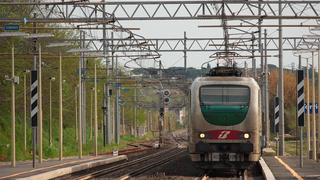 E402 129 Torricola
