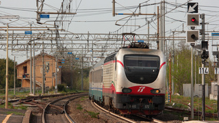 E402 172 Torricola