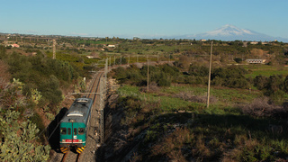 ALn668 3176 Megara