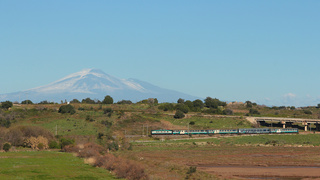E656 424 Augusta