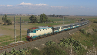 E636 419 Passomartino