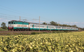 E656 039 Migliarino Pisano