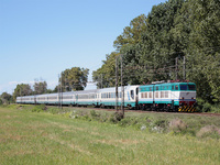 E656 441 in transito a Migliarino Pisano con un Intercity Torino - Napoli.