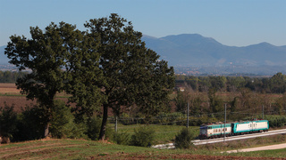 Coda della simpatica composizione ripresa in linea lenta, tra Monterotondo e Pianabella di Montelibretti