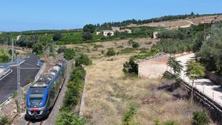 ALe501 054 Lentini