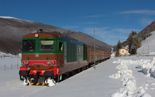 D445 1145 Palena