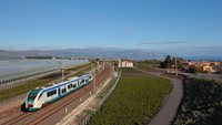 ALe501 028 Carrubba