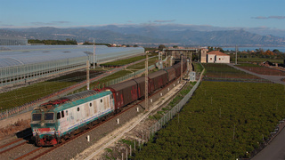 E633 069 Carrubba