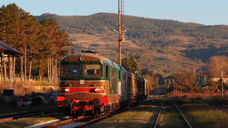 2 Novembre 2014: treno del tartufo bianco