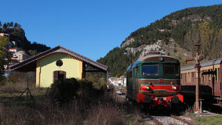 D345 1118 Carovilli