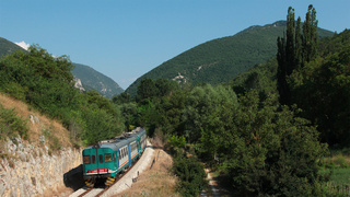 ALn668 3336 Molina
