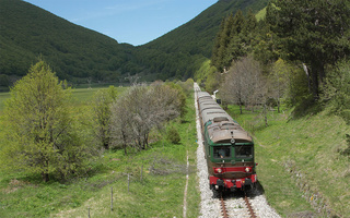 D445 1006 Palena