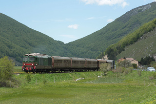D445 1006 Palena