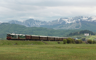 D345 1118 e D343 1030 Palena