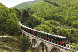 D345 1118 e D343 1030 Palena
