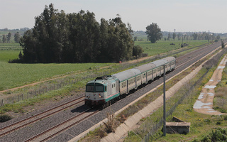 D445 1092 Samassi