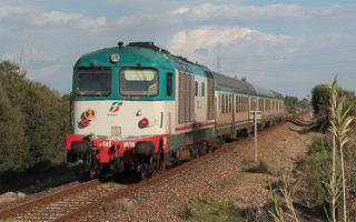 D445 1038 Musei