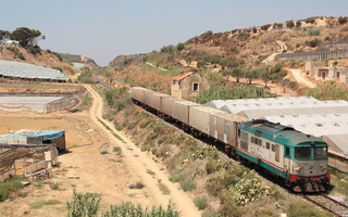 D345 1078 Dirillo